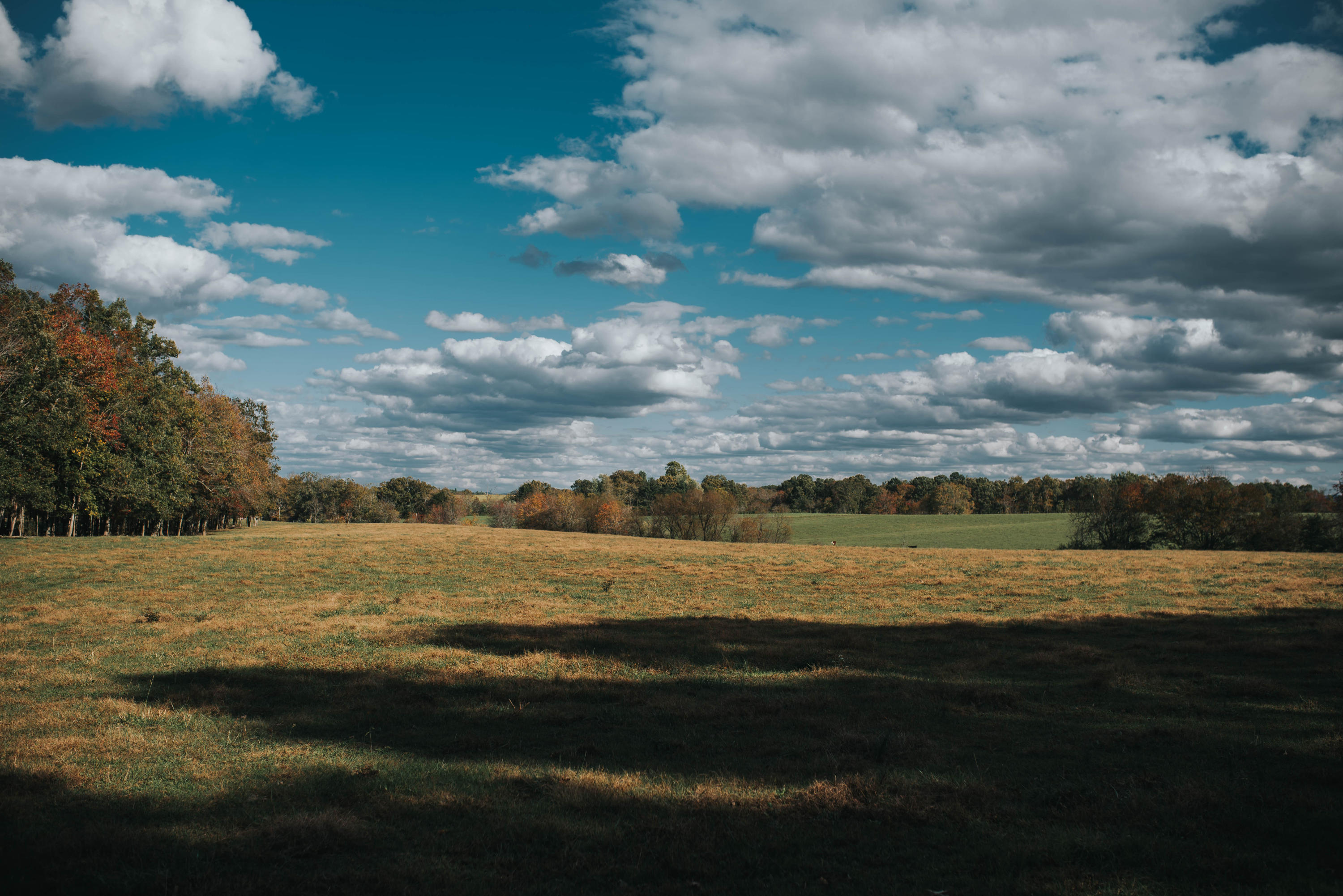 Shirley Road Allardt, TN 38504 - Photo 21 of 39 DSC_3022