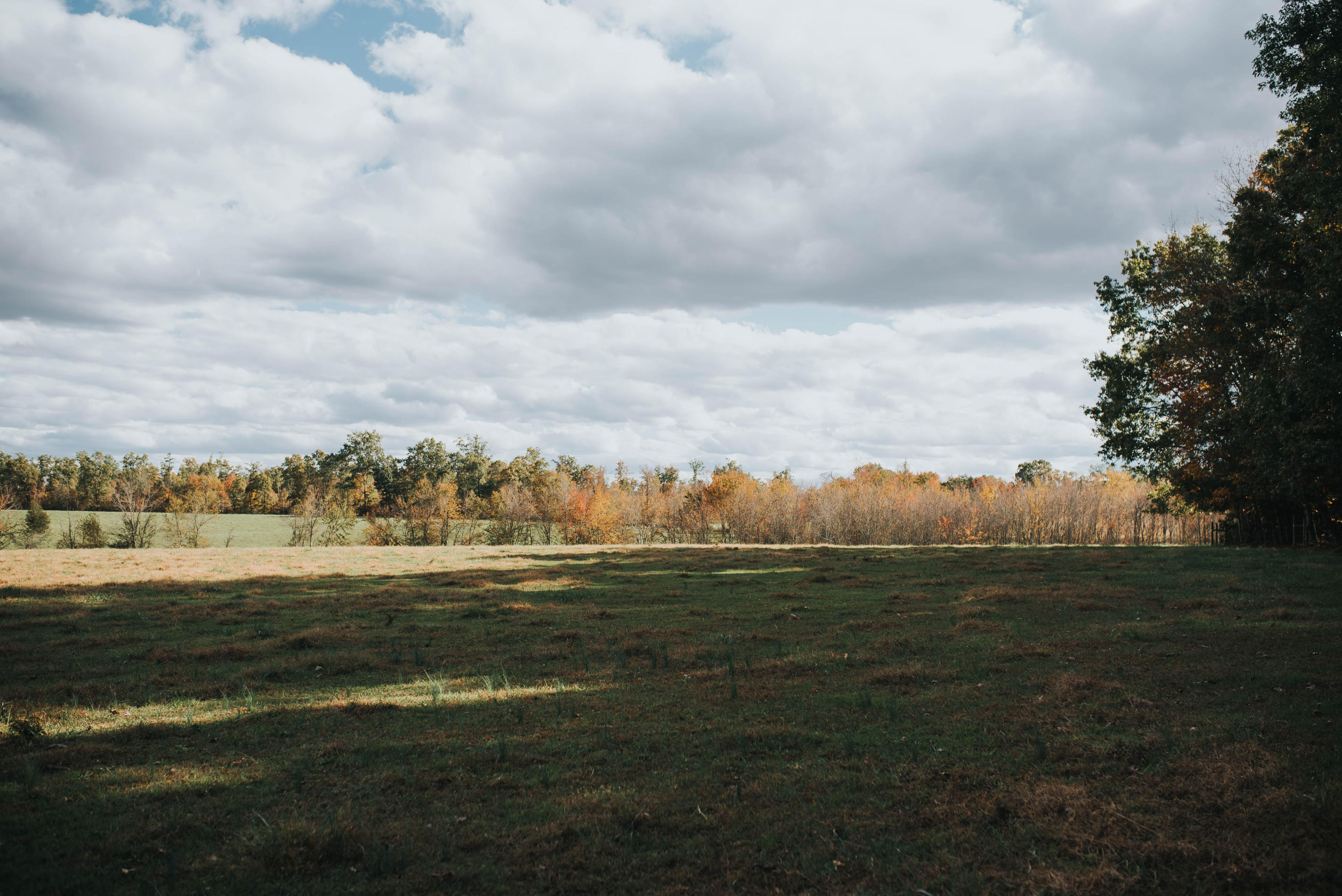 Shirley Road Allardt, TN 38504 - Photo 22 of 39 DSC_3023