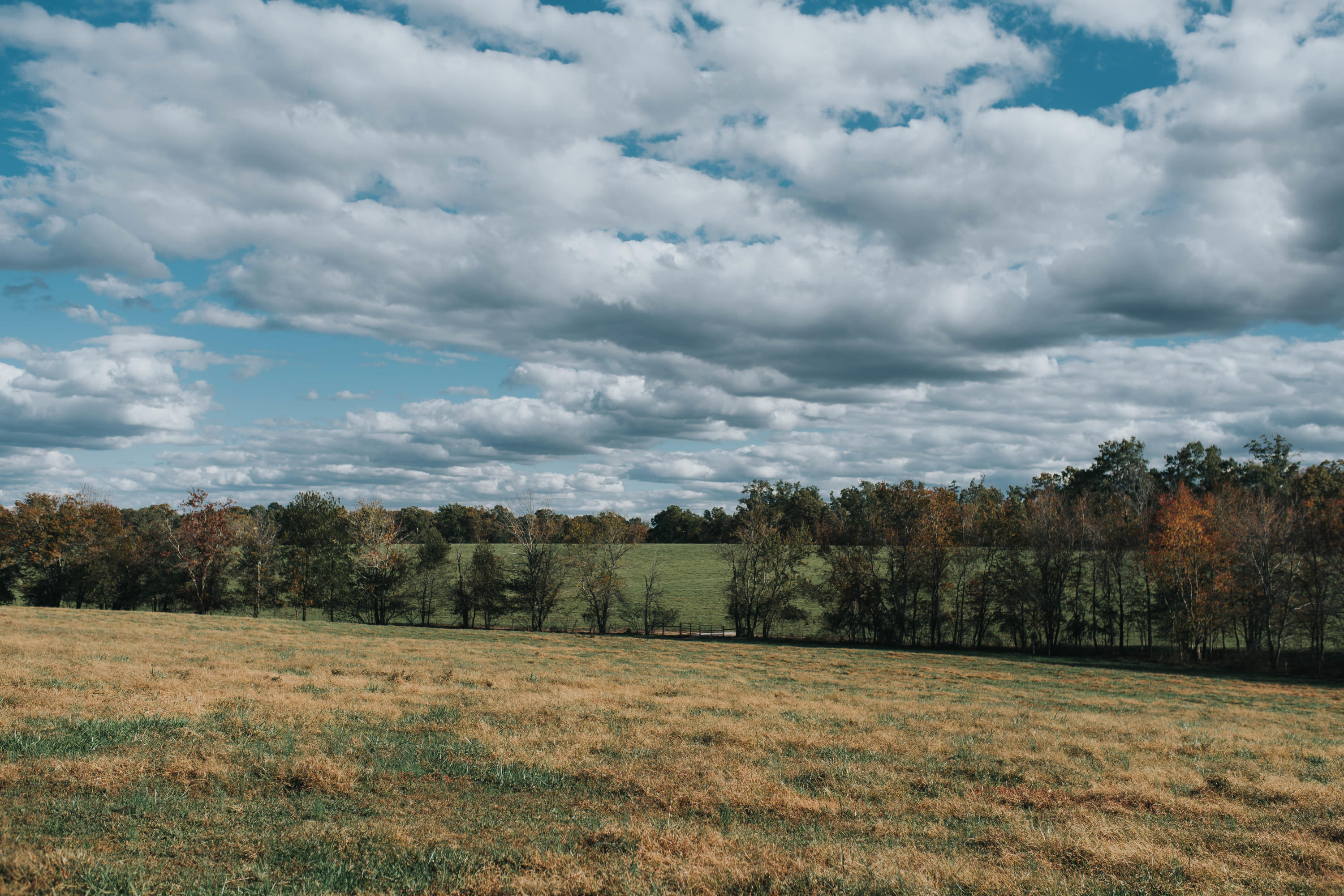 Shirley Road Allardt, TN 38504 - Photo 24 of 39 DSC_3026