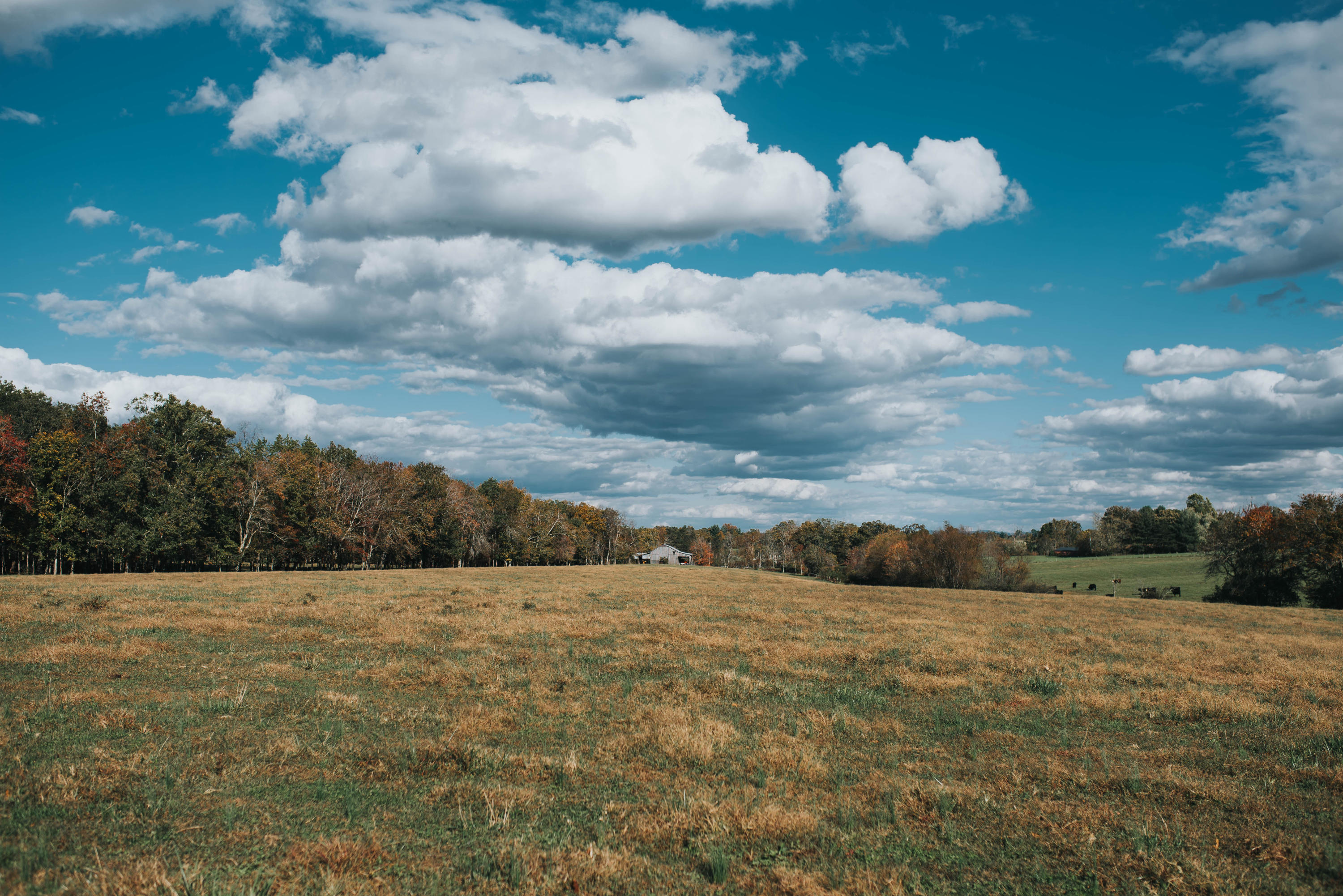 Shirley Road Allardt, TN 38504 - Photo 25 of 39 DSC_3027