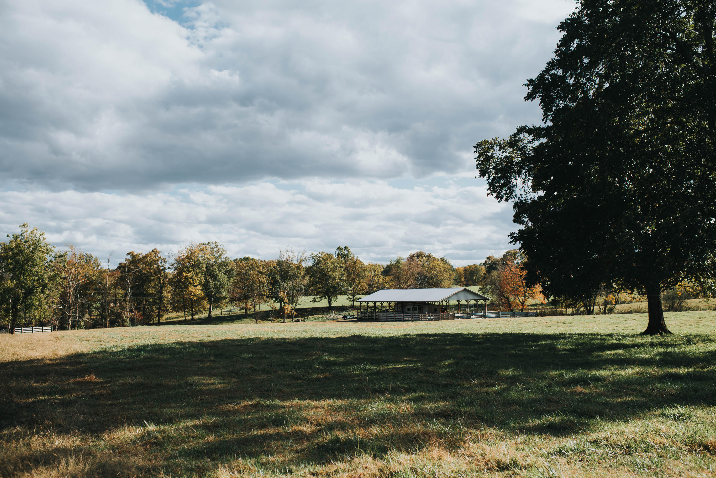Shirley Road Allardt, TN 38504 - Photo 28 of 39 DSC_3032