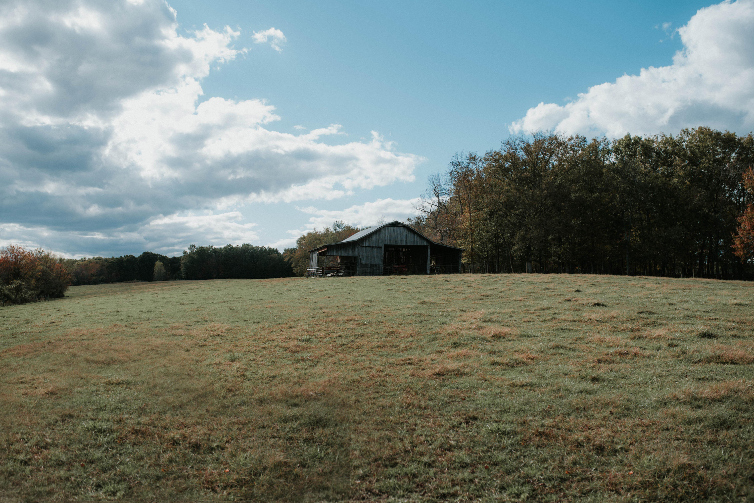 Shirley Road Allardt, TN 38504 - Photo 4 of 39 DSC_2985