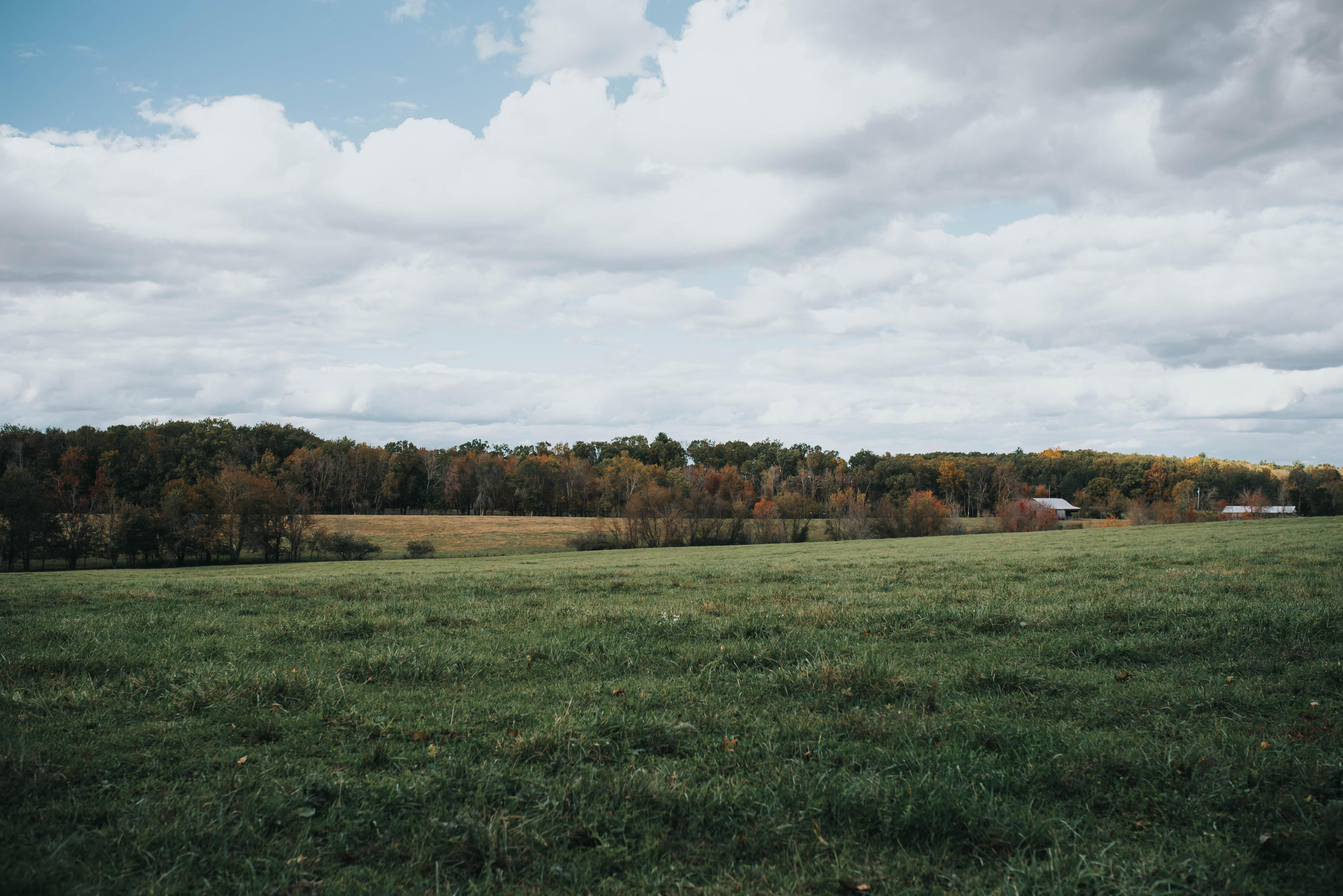 Shirley Road Allardt, TN 38504 - Photo 31 of 39 DSC_3045