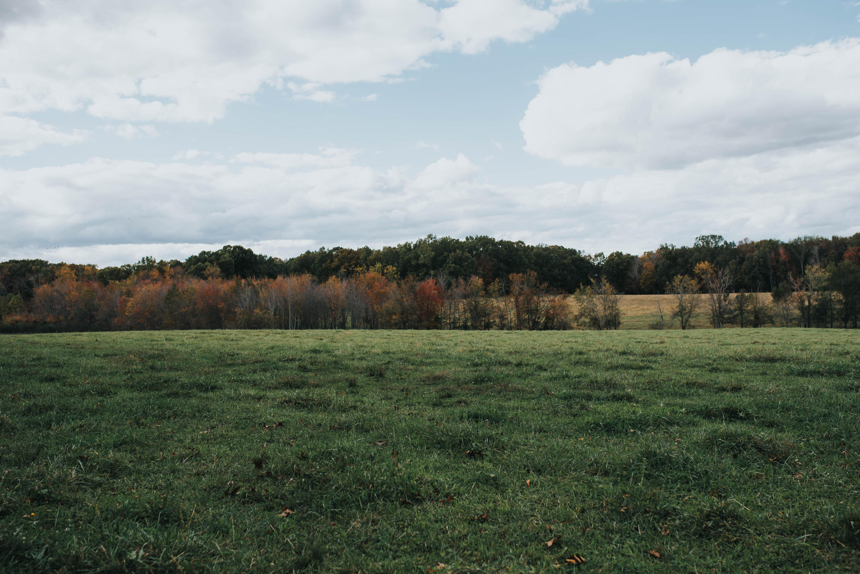 Shirley Road Allardt, TN 38504 - Photo 32 of 39 DSC_3047