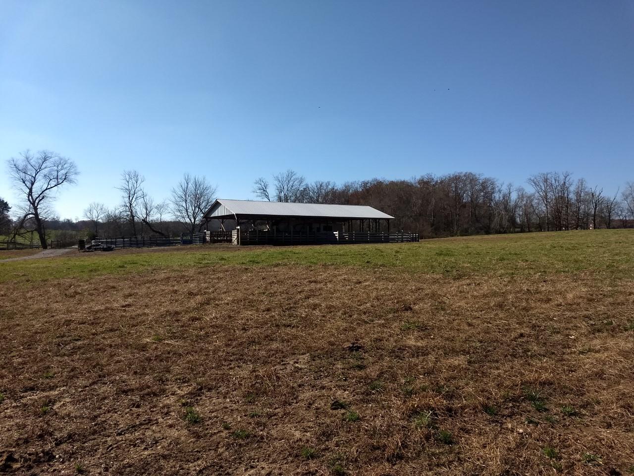 Shirley Road Allardt, TN 38504 - Photo 34 of 39 thumbnail_IMG_20171114_114332191_BURST00