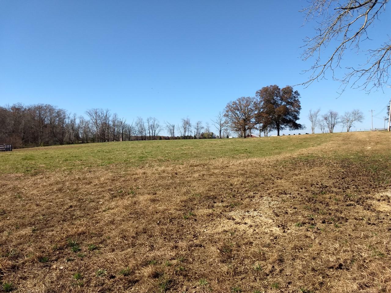 Shirley Road Allardt, TN 38504 - Photo 36 of 39 thumbnail_IMG_20171114_114335244