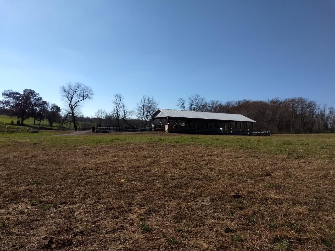 Shirley Road Allardt, TN 38504 - Photo 37 of 39 thumbnail_IMG_20171114_114341732