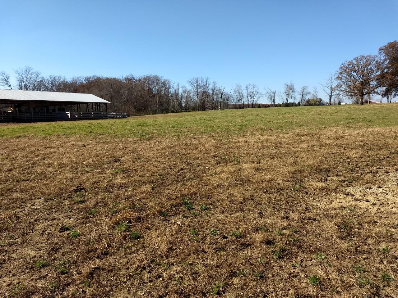 Shirley Road Allardt, TN 38504 - Photo 39 of 39 thumbnail_IMG_20171114_114348069