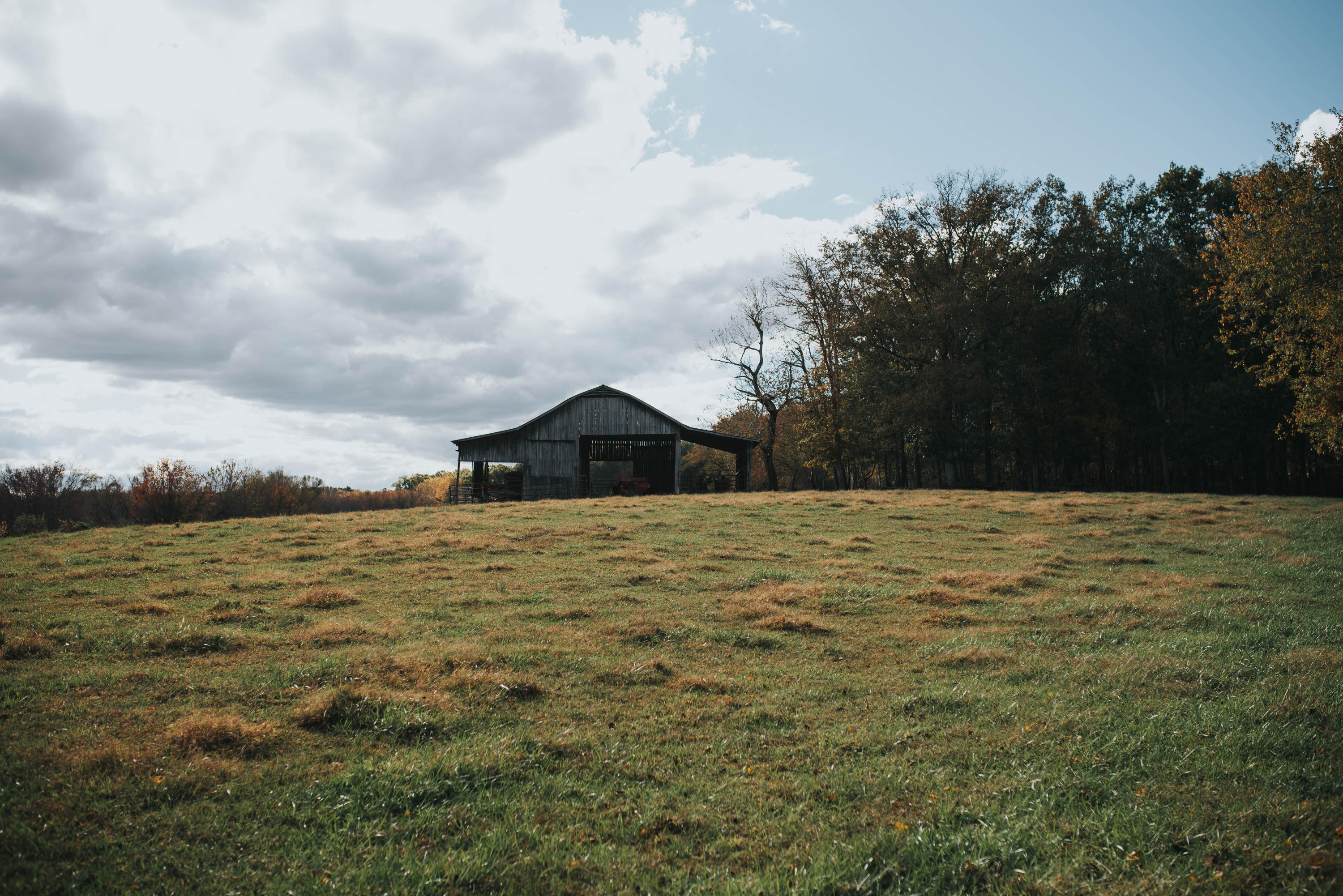 Shirley Road Allardt, TN 38504 - Photo 5 of 39 DSC_2988