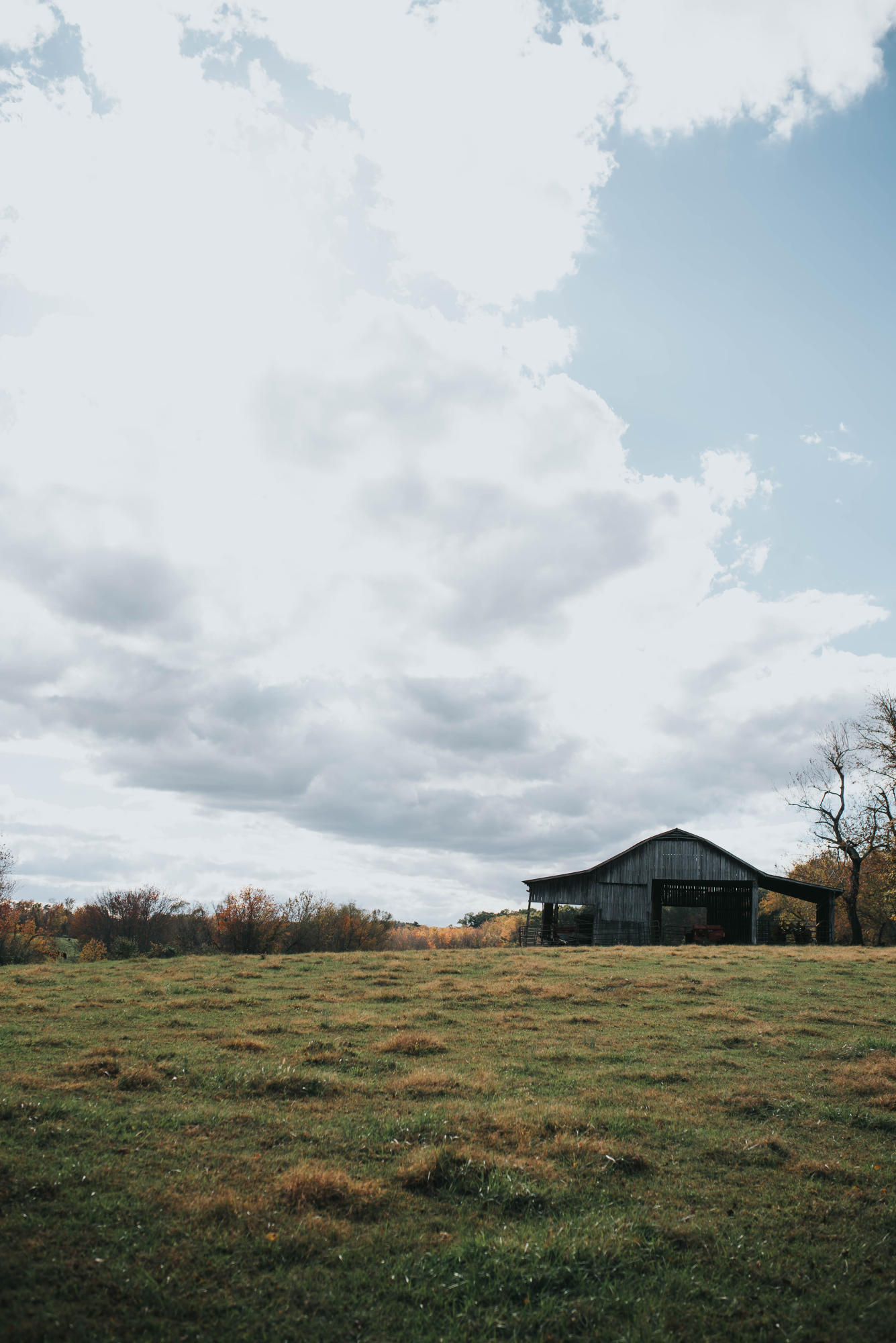 Shirley Road Allardt, TN 38504 - Photo 6 of 39 DSC_2990