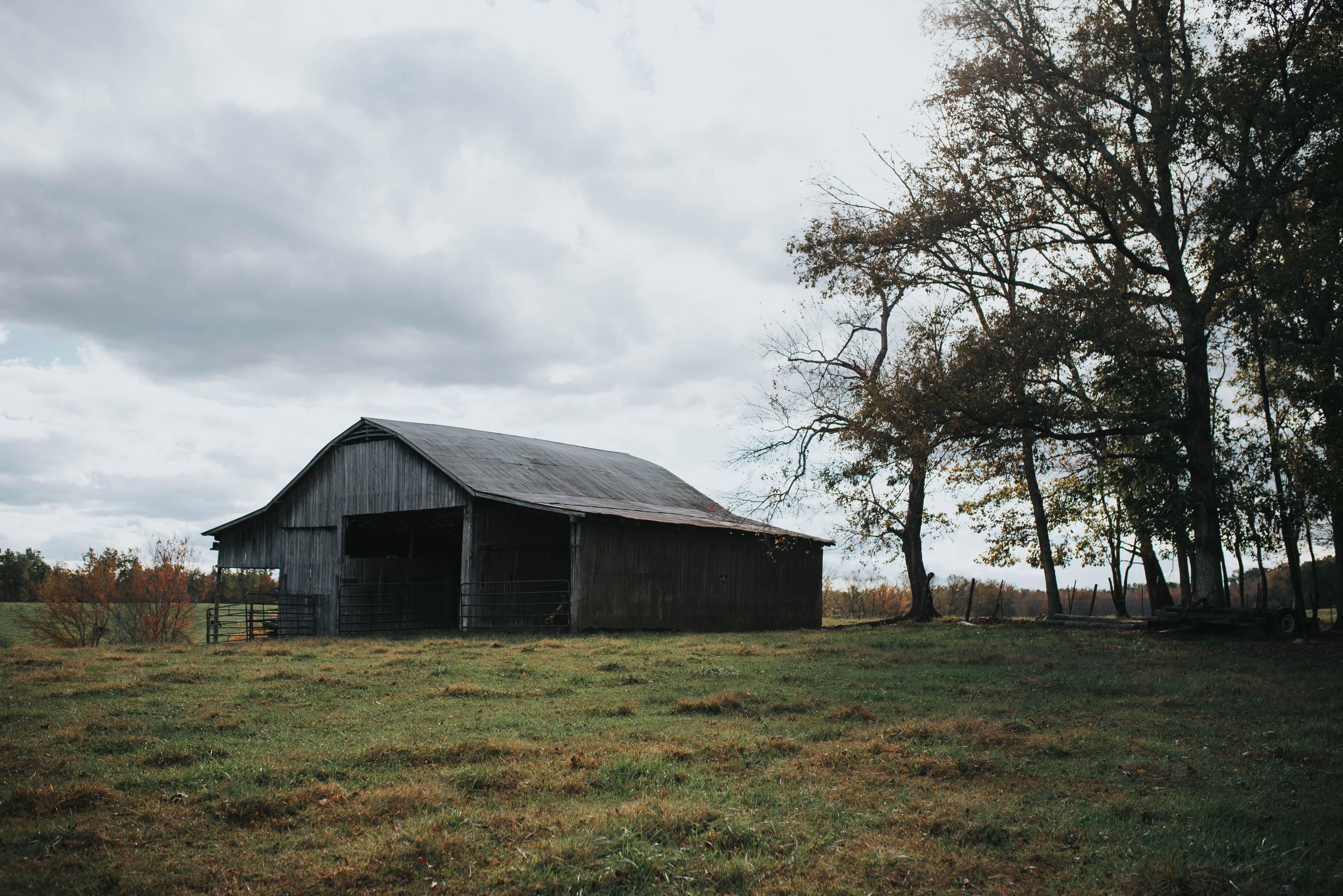 Shirley Road Allardt, TN 38504 - Photo 7 of 39 DSC_2991