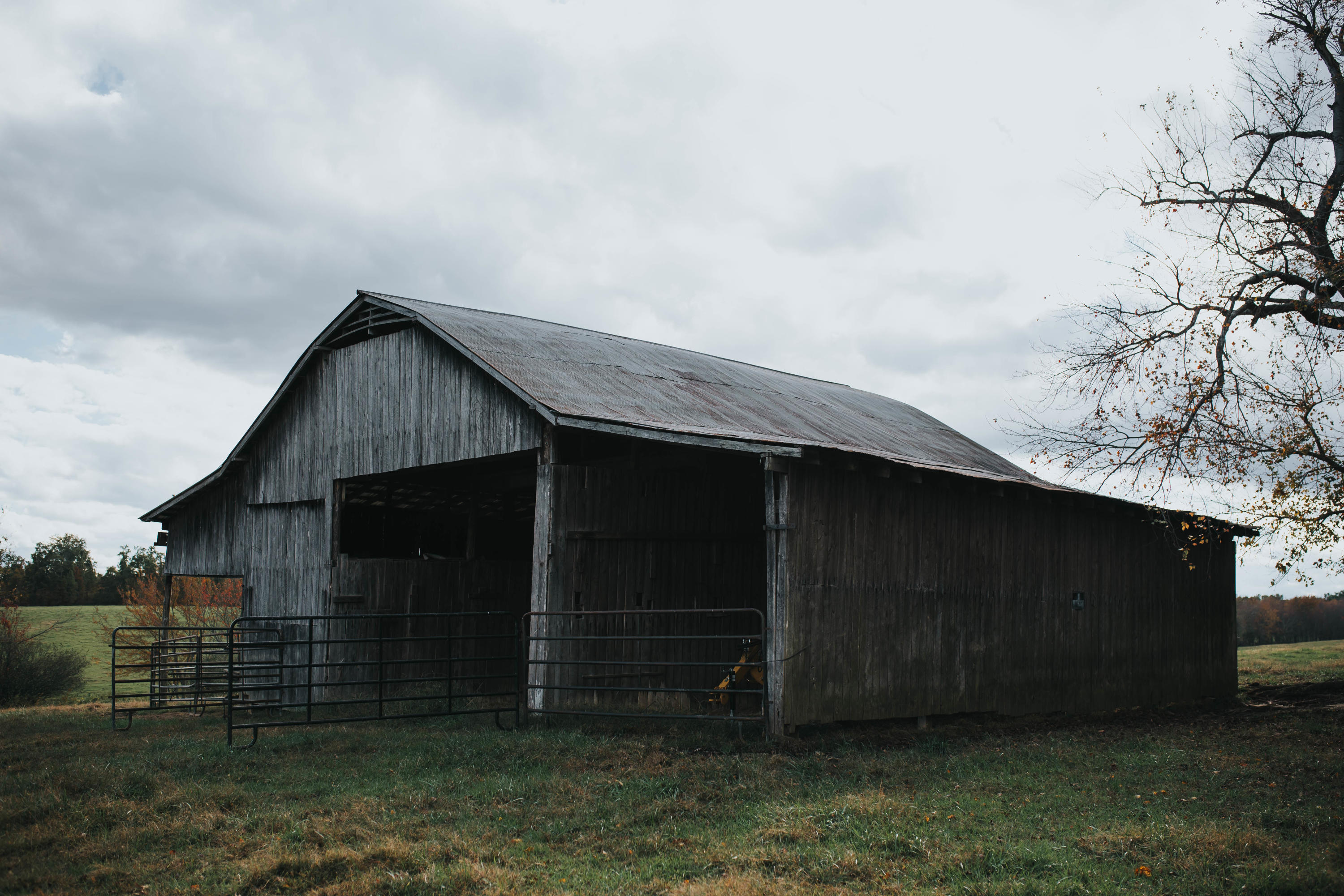 Shirley Road Allardt, TN 38504 - Photo 9 of 39 DSC_2994