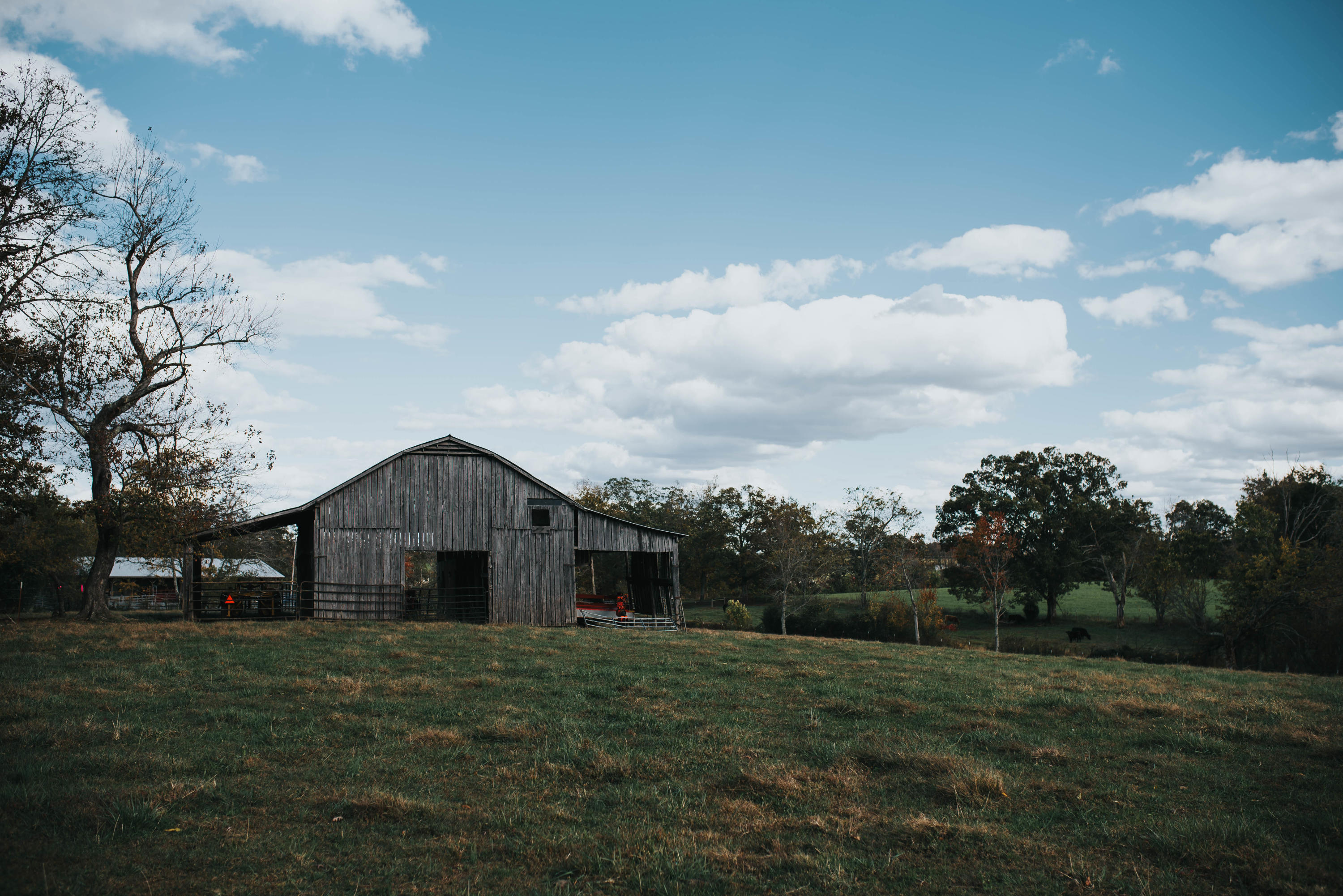 Shirley Road Allardt, TN 38504 - Photo 10 of 39 DSC_2996