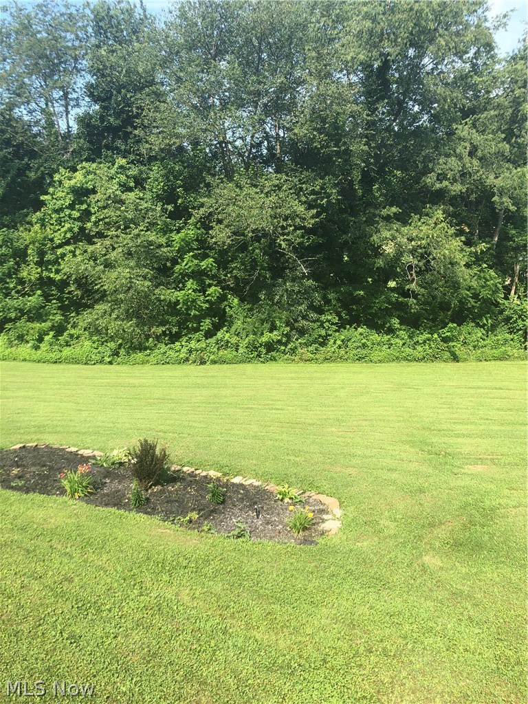 58540 Lower Sandy Ridge Road Barnesville, OH 43713 - Photo 18 of 21