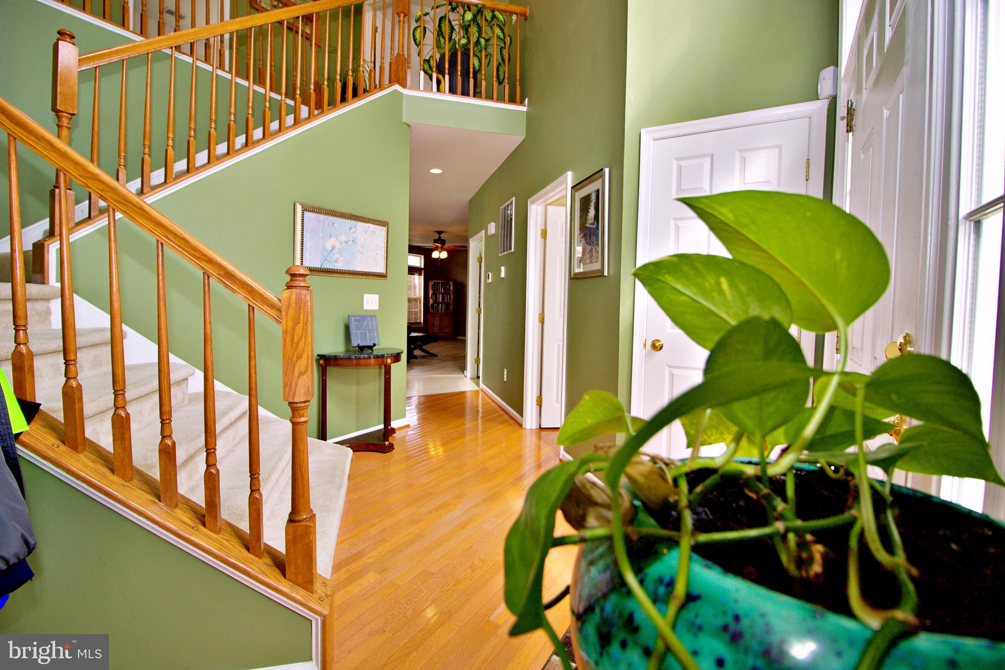 1323 Destrier Street Ranson, WV 25438 - Photo 3 of 45 Foyer