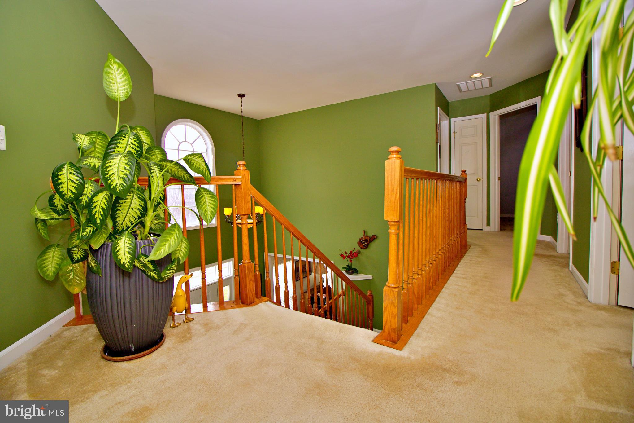 1323 Destrier Street Ranson, WV 25438 - Photo 23 of 45 Upper Level