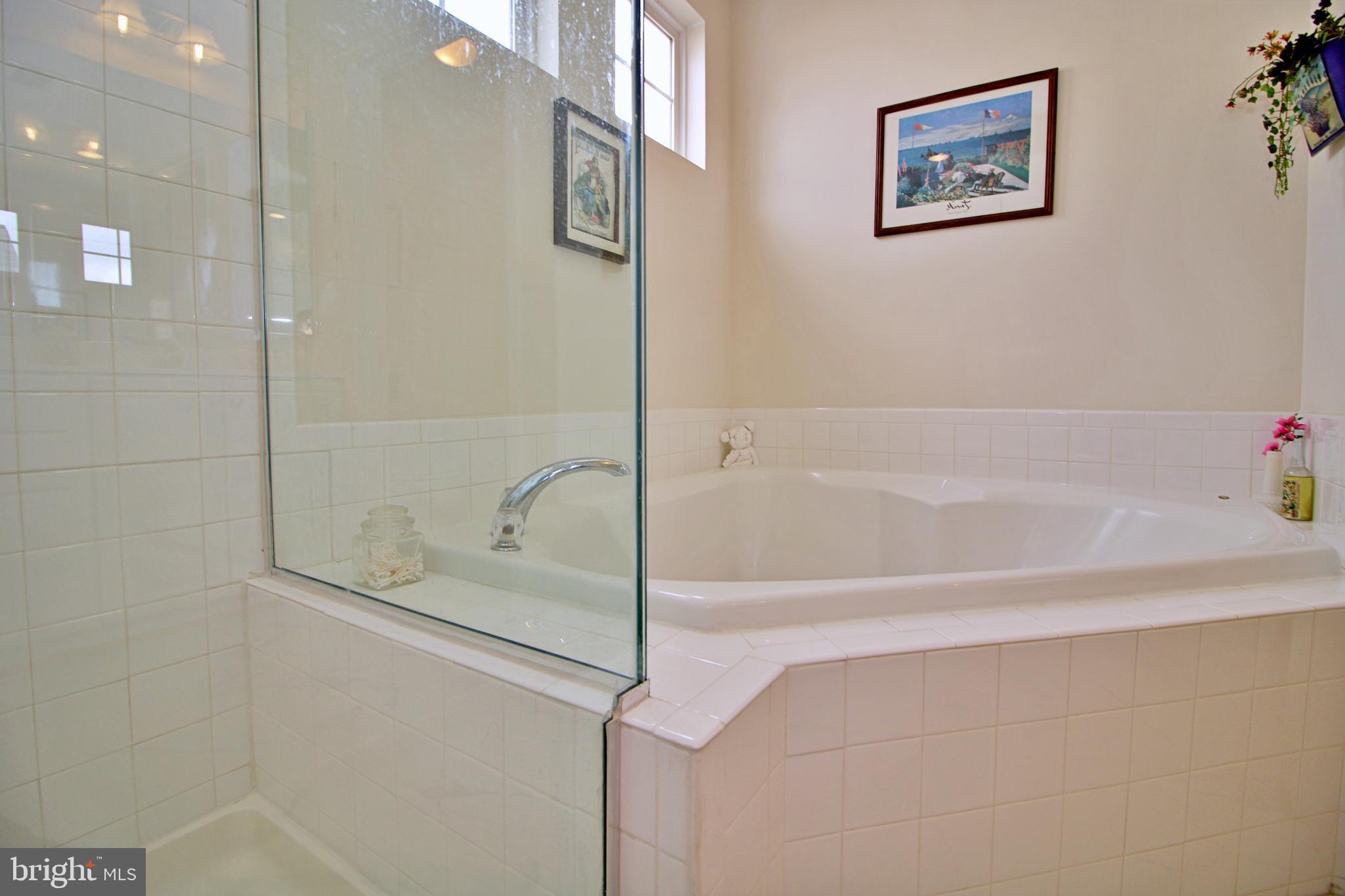 1323 Destrier Street Ranson, WV 25438 - Photo 31 of 45 Master Bathroom with Soaking Tub