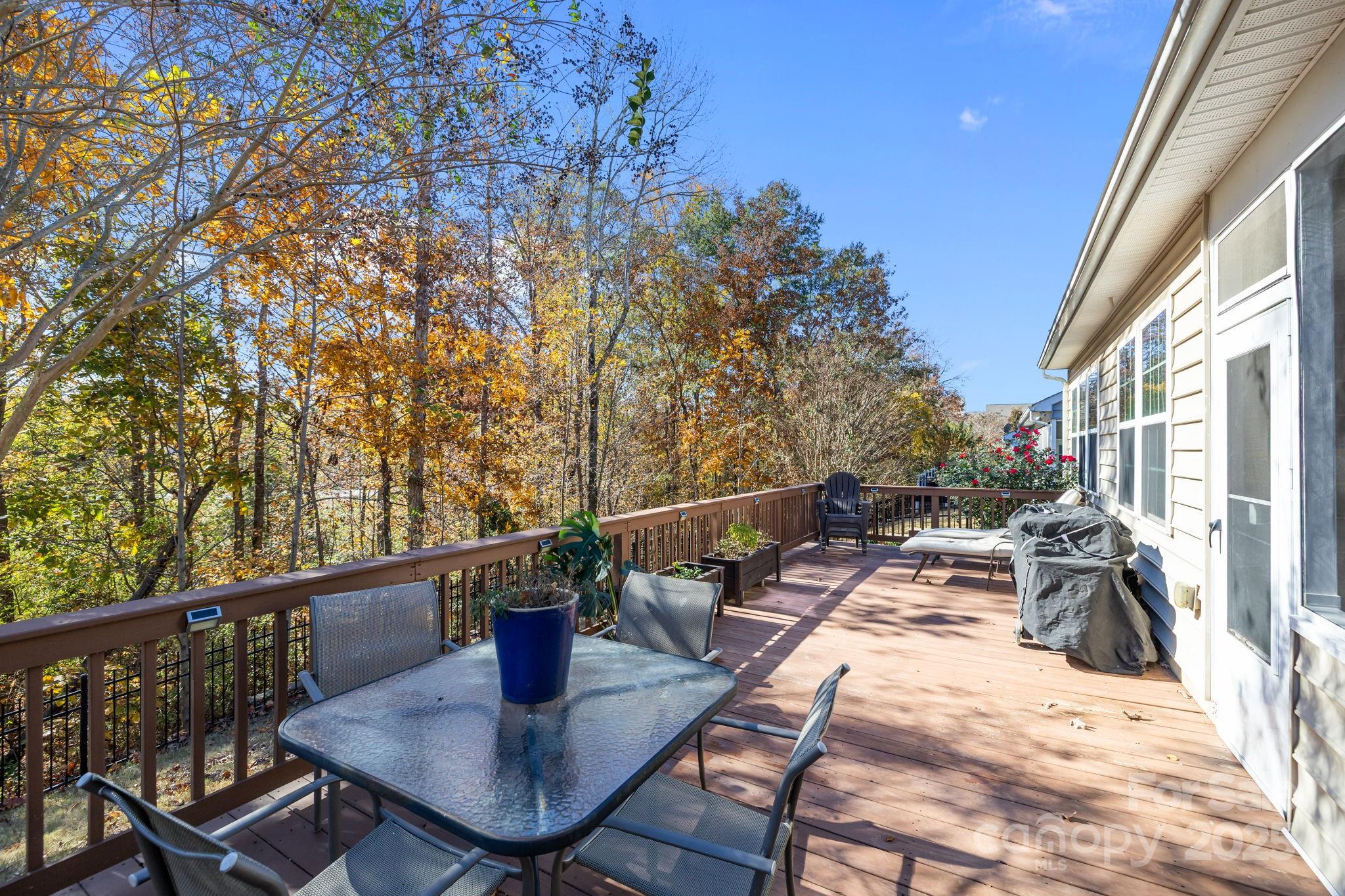 725 Bearcamp Way Fort Mill, SC 29715 - Photo 4 of 47