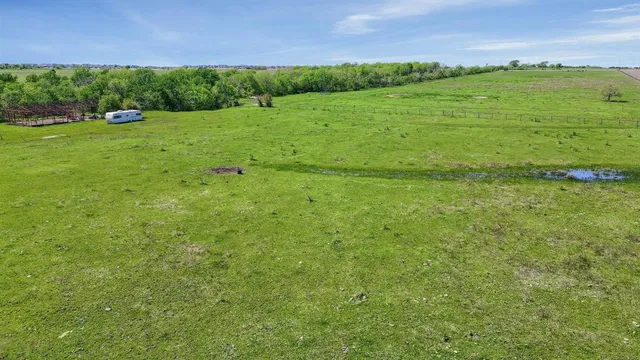 a view of a green field with lots of plants in the background