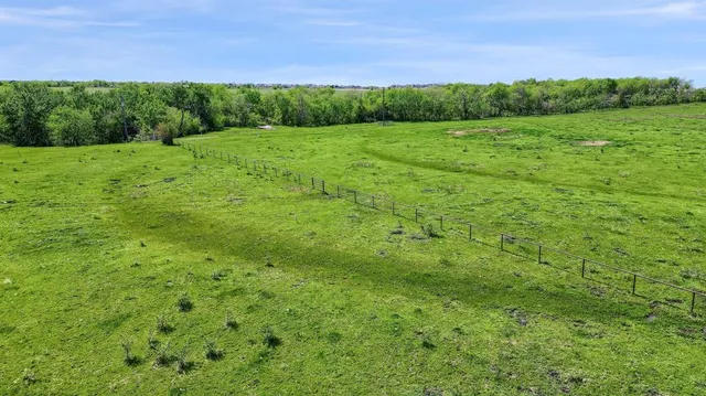 a view of a field with an trees