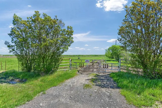 a yard with lots of green space and deers