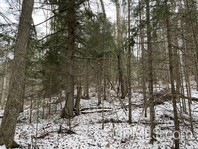 545 South Rd Skandia Mi 49885 Road Skandia, MI 49885 - Photo 13 of 38