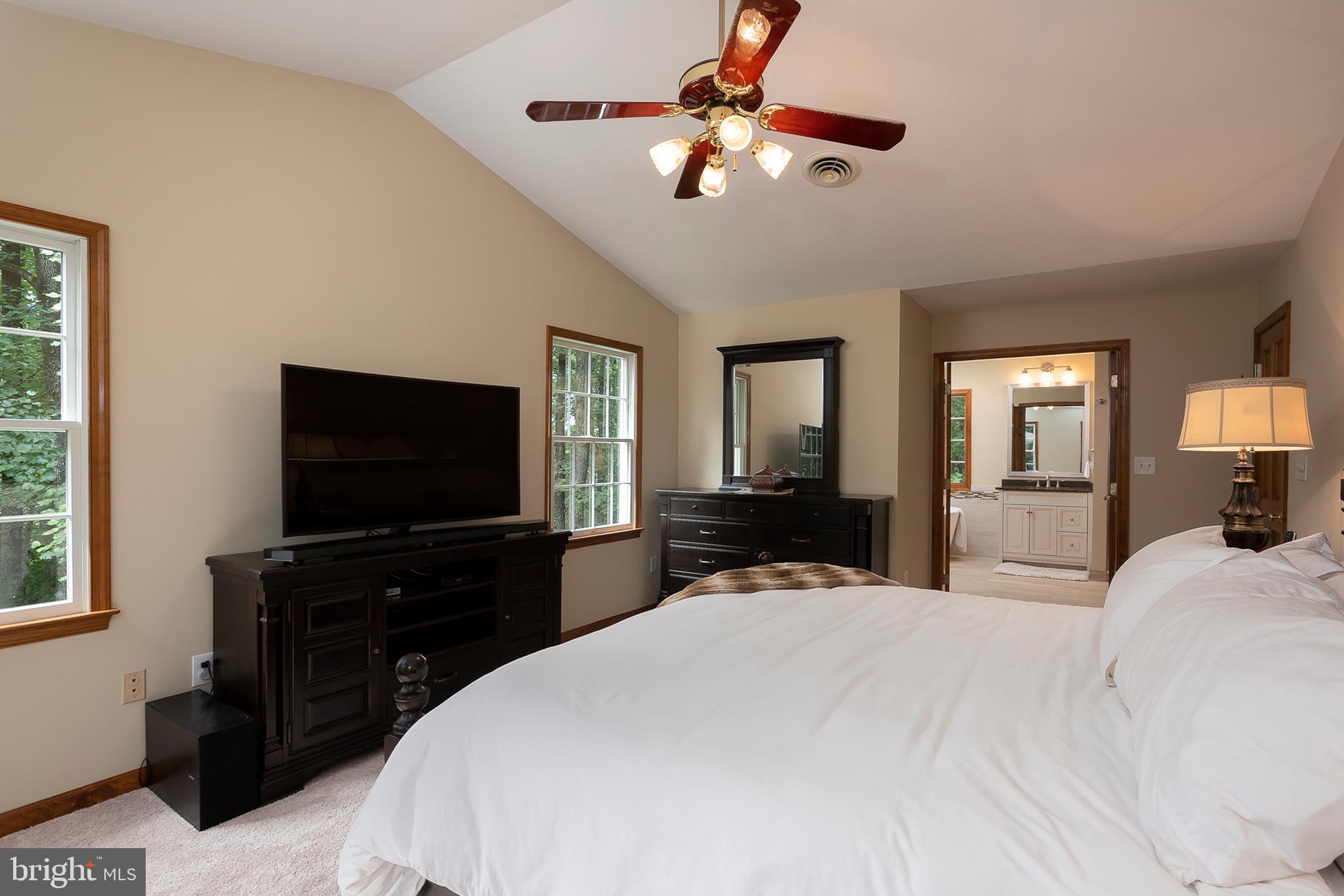 3165 Florence Road Woodbine, MD 21797 - Photo 22 of 42 Master suite with luxurious bath