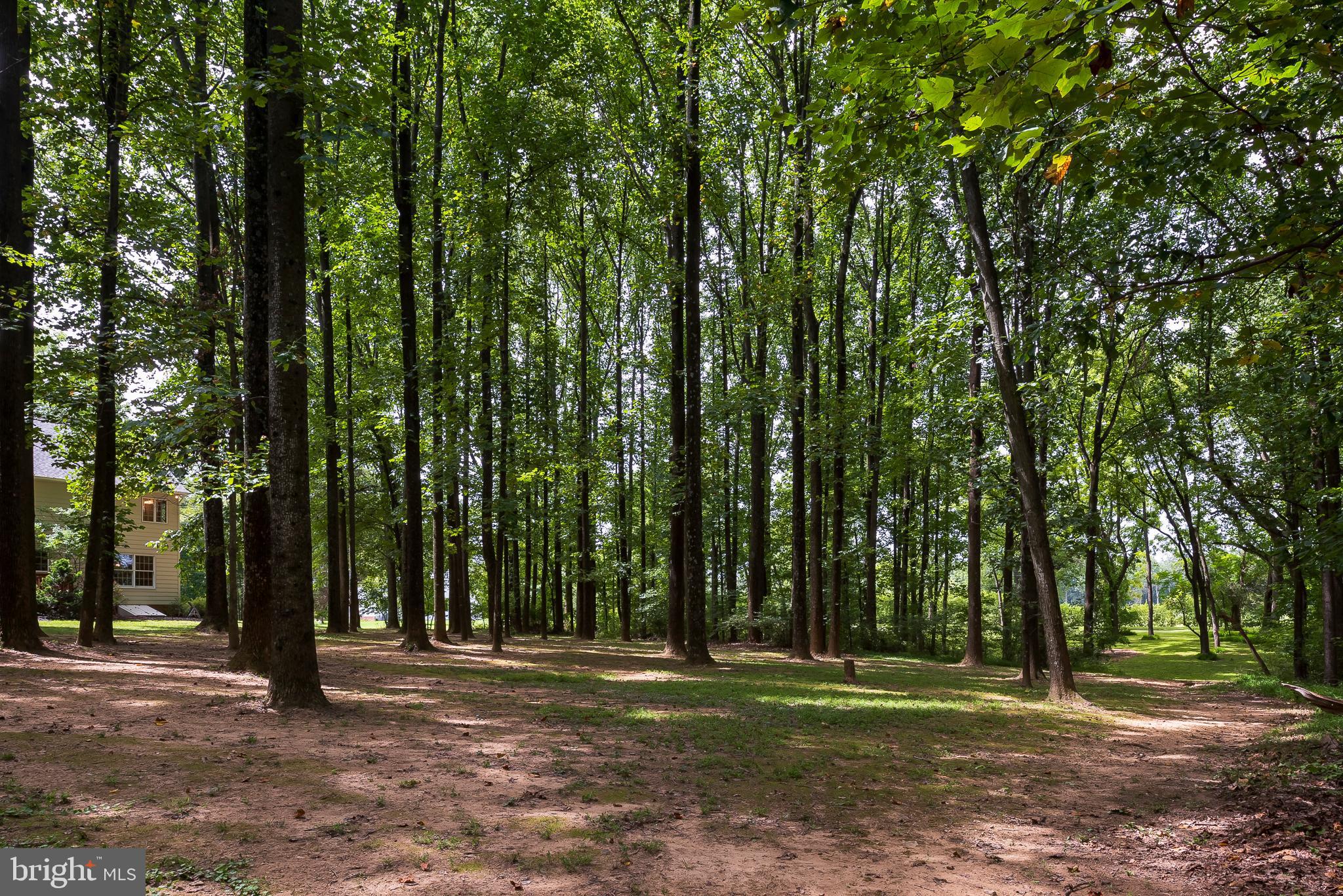 3165 Florence Road Woodbine, MD 21797 - Photo 36 of 42 Soak up the sounds of nature