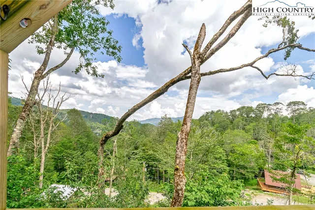 a backyard of a building with large trees and plants