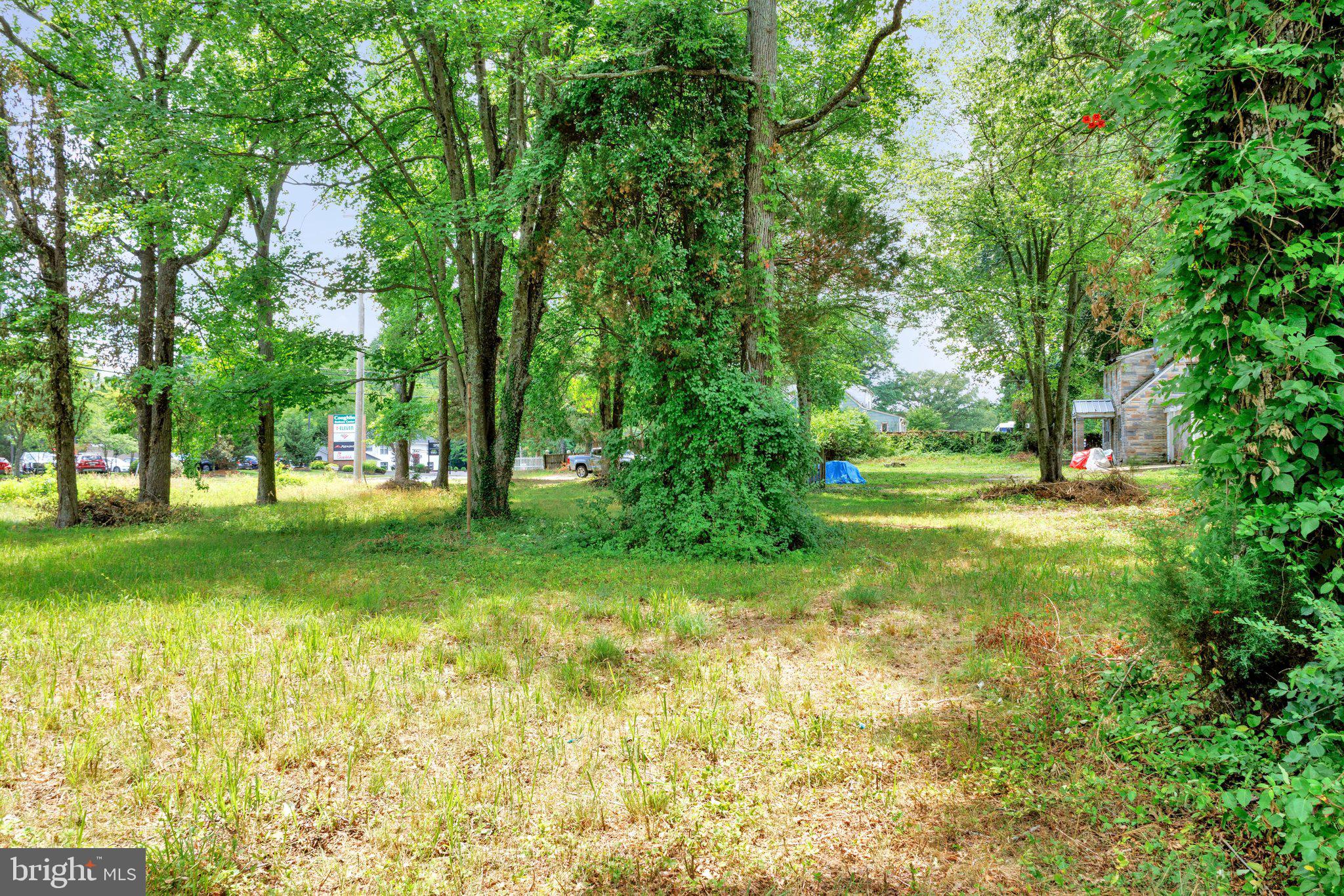 3424-3422 Pike Ridge Road Edgewater, MD 21037 - Photo 4 of 17 a view of yard with green space and trees
