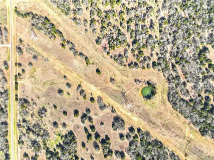 a close up of a plant with a plant