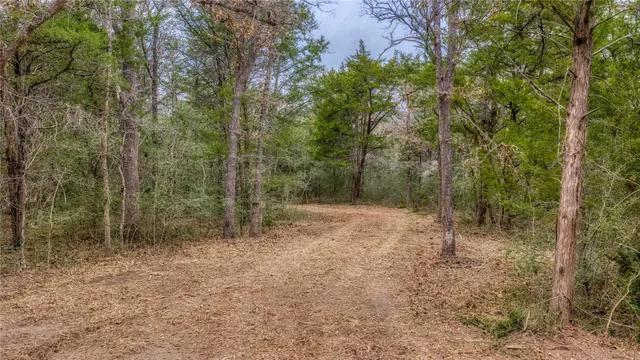 $597,500 | Tbd Baranowski Road, Brenham, TX 77833