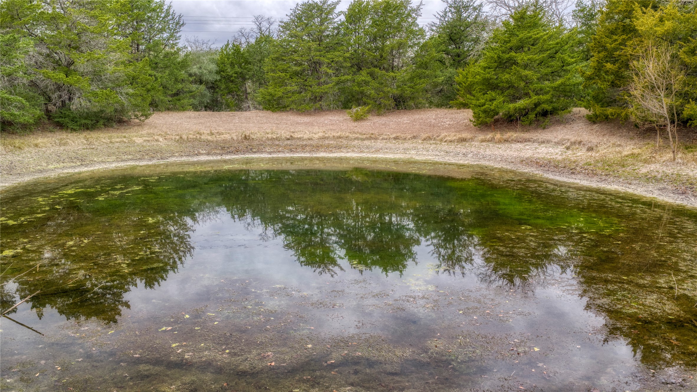 Tbd Baranowski Road Brenham, TX 77833 - Photo 5 of 10
