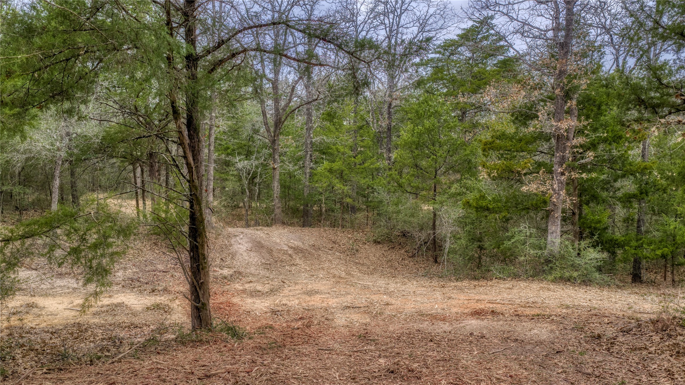 Tbd Baranowski Road Brenham, TX 77833 - Photo 7 of 10