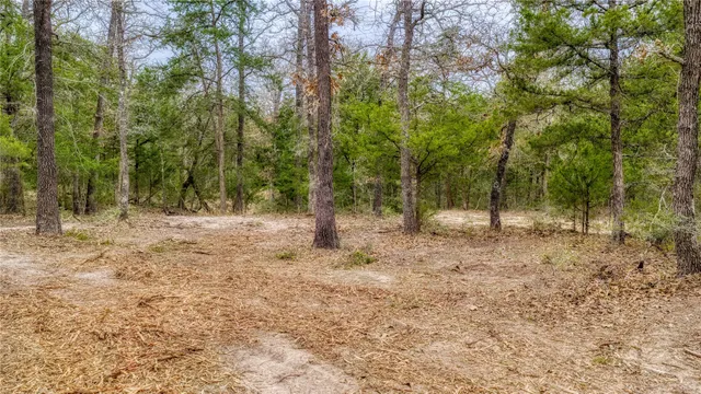 $597,500 | Tbd Baranowski Road, Brenham, TX 77833