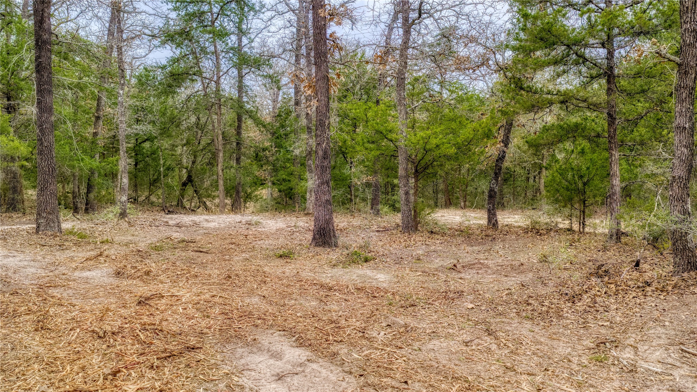 Tbd Baranowski Road Brenham, TX 77833 - Photo 8 of 10