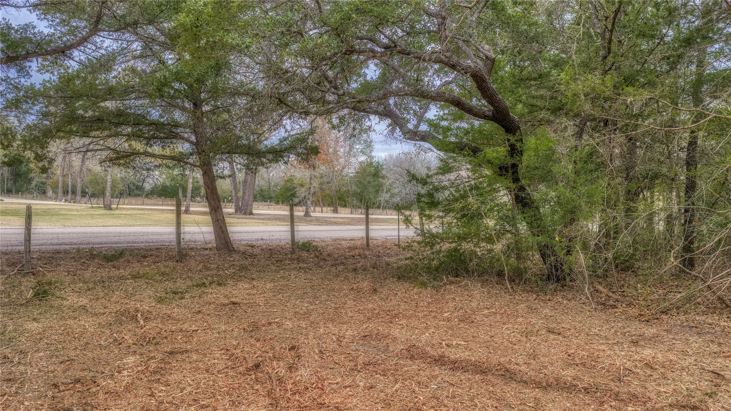 Tbd Baranowski Road Brenham, TX 77833 - Photo 10 of 10