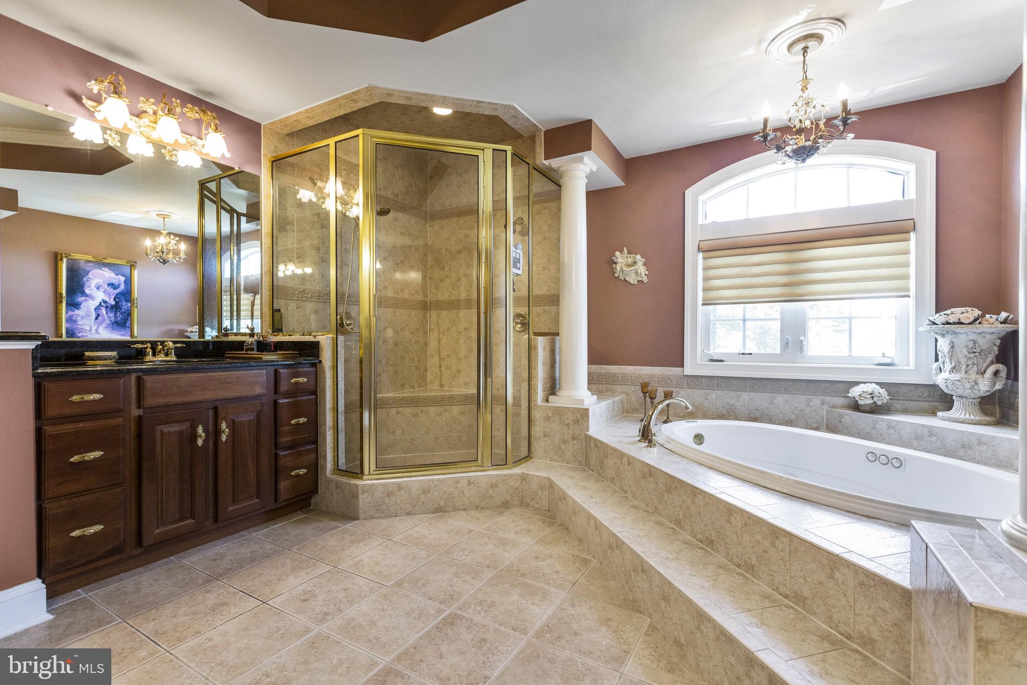 124 Anderson Farm Road Phoenixville, PA 19460 - Photo 25 of 40 Master Bathroom