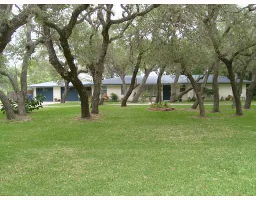 a view of yard with tree s