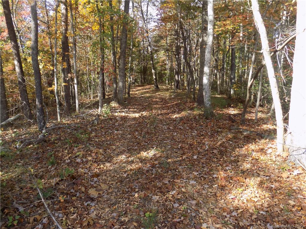 4027 Piney Road Morganton, NC 28655 - Photo 8 of 32 Gallery Image 8