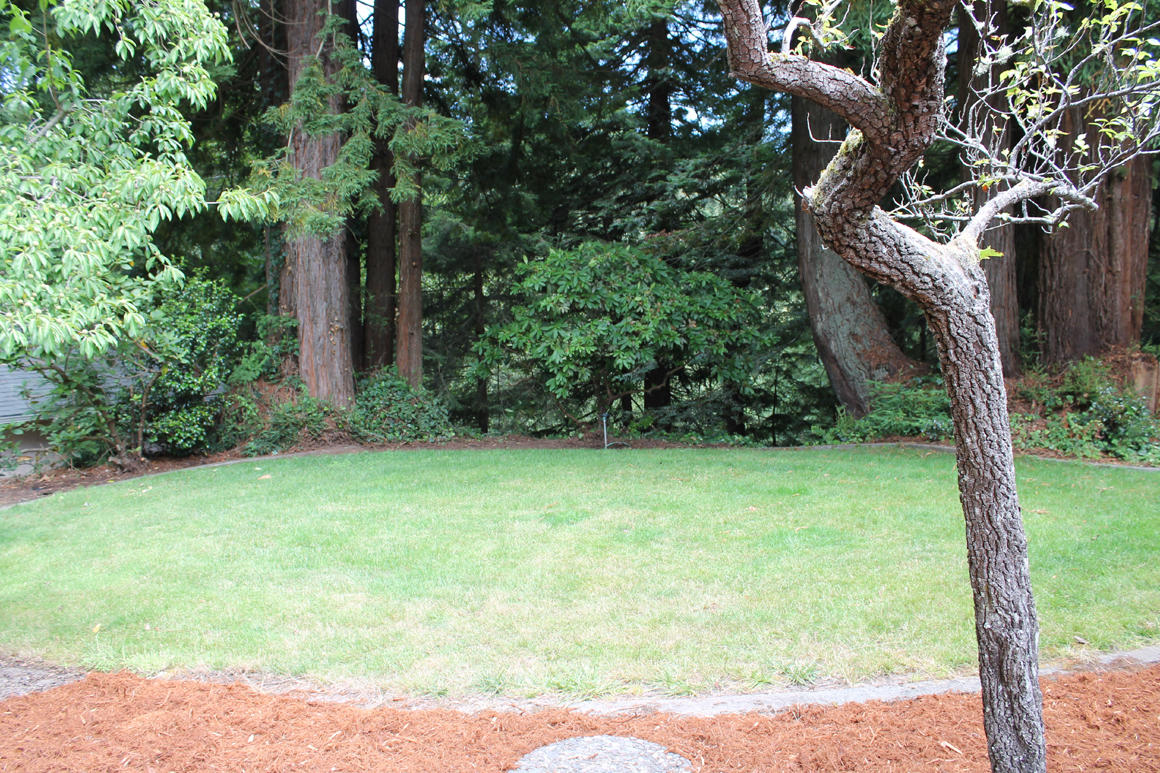 4079 Excelsior Road Eureka, CA 95503 - Photo 15 of 41