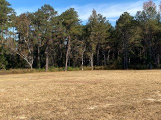 1230 Middleton Road Dothan, AL 36301 - Photo 12 of 21