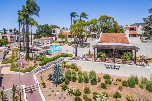 a park view with a bench and palm trees