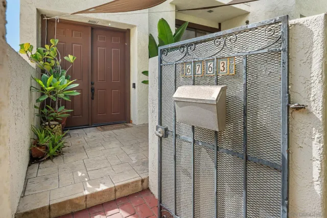 a bathroom with a potted plant
