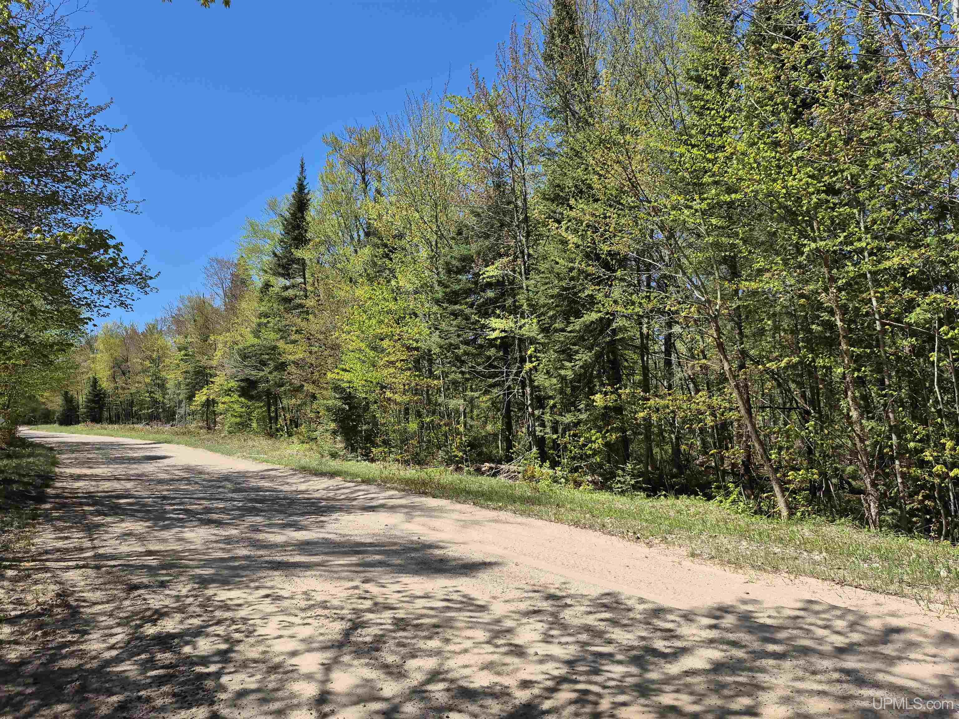 South 8-acres Perch Lake Road Munising, MI 49862 - Photo 1 of 44 Gallery Image 1