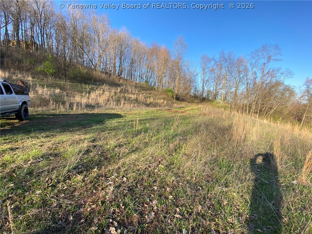 1125 Tariff Road Left Hand, WV 25251 - Photo 40 of 49 Gallery Image 40
