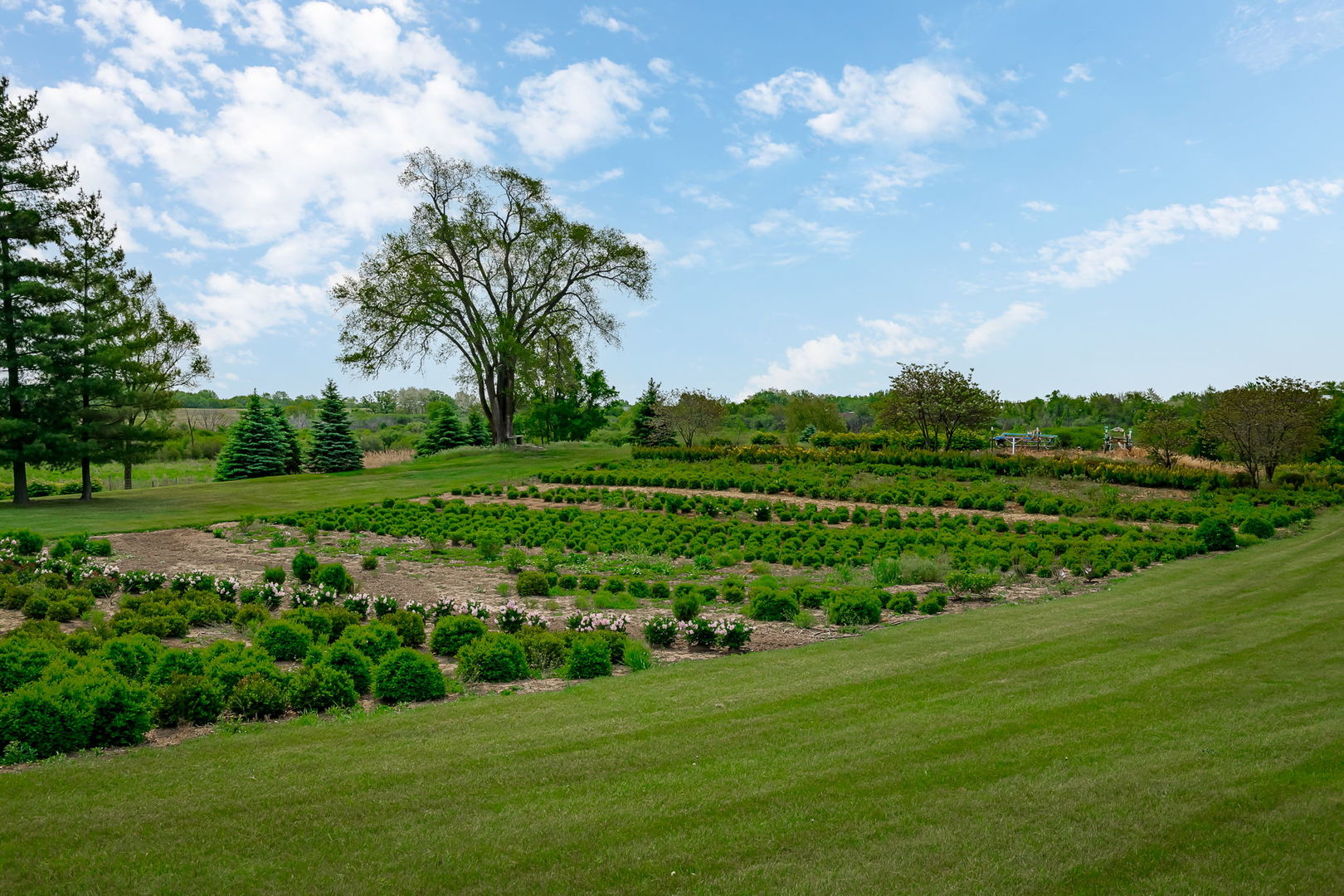 29295 North Callahan Road Wauconda, IL 60084 - Photo 11 of 45 a view of a golf course with a garden