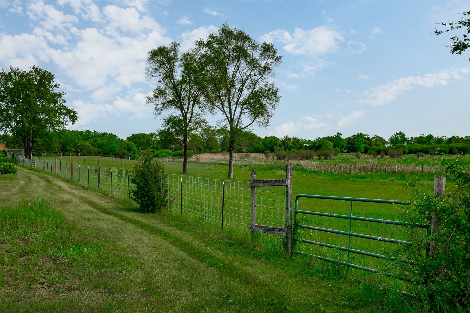 29295 North Callahan Road Wauconda, IL 60084 - Photo 13 of 45 a view of an outdoor space and yard