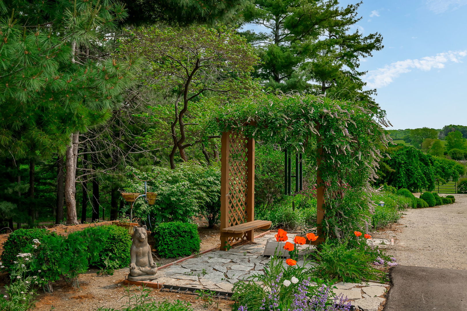 29295 North Callahan Road Wauconda, IL 60084 - Photo 6 of 45 a backyard of a house with lots of green space