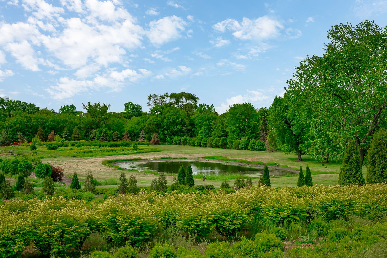 29295 North Callahan Road Wauconda, IL 60084 - Photo 10 of 45 a view of a lake with a yard